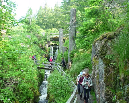 P1360173 Les cascades de Menzenschwand
