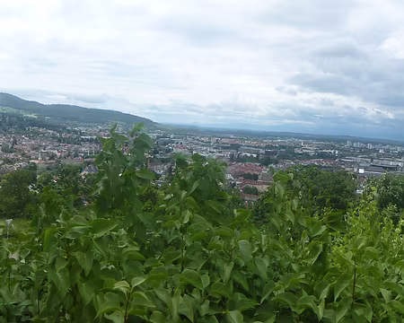 P1210312 Vue sur Fribourg depuis la colline du château (Schlossberg)