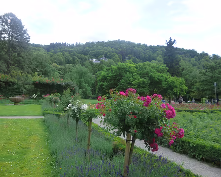 P1210316 Colline du Château