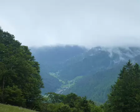 P1210338