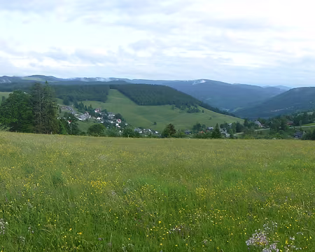 P1210341 Todtnauberg