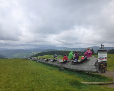 P1210347 Le plus long banc du monde : un tronc de 44 m, Stübenwasen