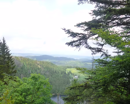 P1210355 Feldsee (alt. 1109 m)