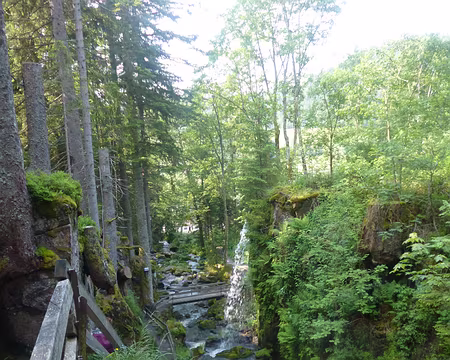 P1210362 Les cascades de Menzenschwand