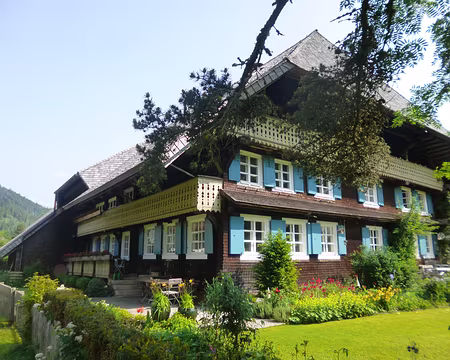 P1210366 Menzenschwand