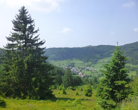 P1210369 Menzenschwand