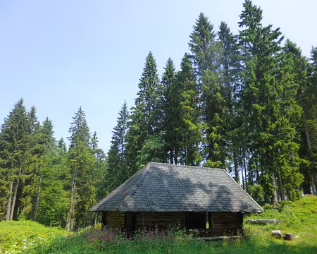 P1210371 Rosshütte (alt. 1205 m)