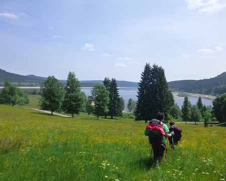 P1210373 Lac de Schluchsee (alt. 952 m)