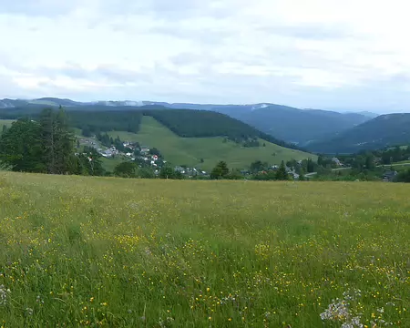 P1210341 Todtnauberg