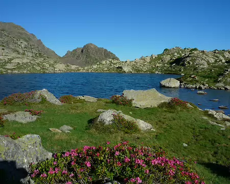 P1360228