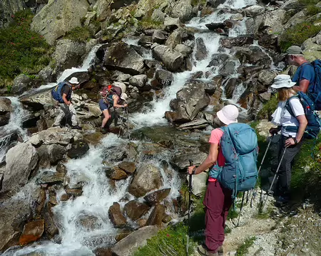 P1360254 Tous suivent l'opération avec passion.