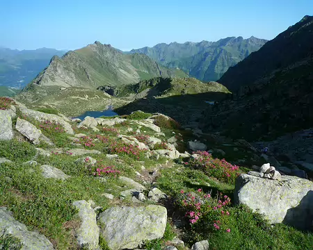 P1360259