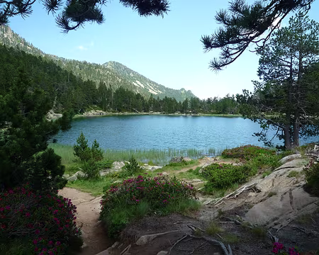 P1360278 Ici, improbable rencontre avec les skieurs de fond du CIHM !