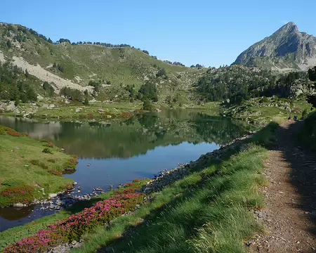 P1360332