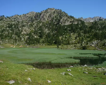 P1360364 Lac envahi deviendra tourbière