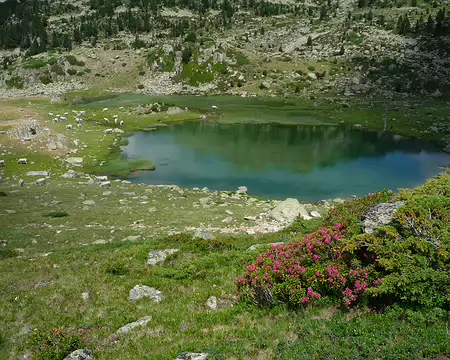 P1360388