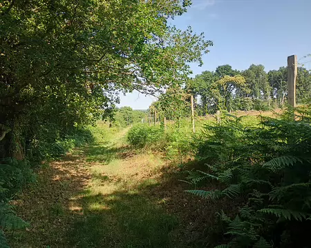 IMG_20250621_105026133_HDR