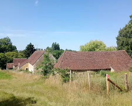 IMG_20250621_105243840_MFNR