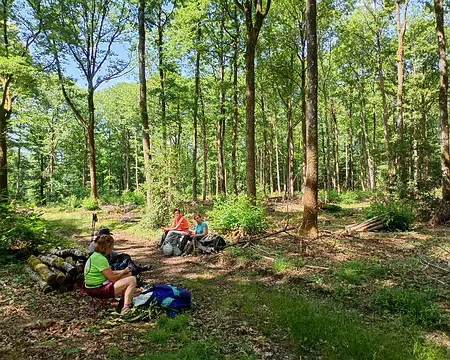 IMG_20250621_114541149_HDR