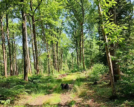 IMG_20250621_115522000_HDR