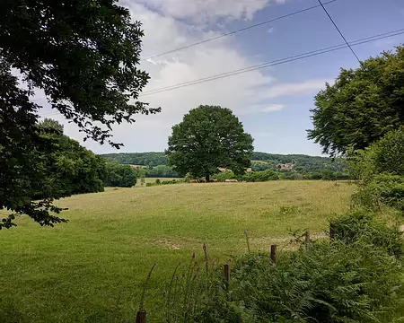 IMG_20250621_155131804_HDR