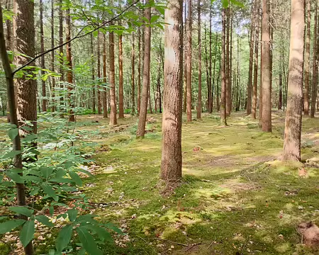 IMG_20250621_175613204_HDR