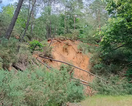 IMG_20250621_183152706_HDR