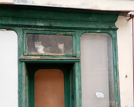 IMG_20250622_093406300_MFNR