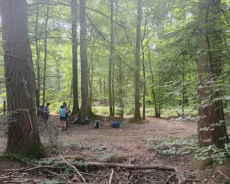 IMG_20250622_102701221_HDR