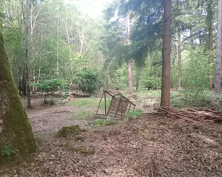 IMG_20250622_103631286_MFNR