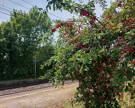 IMG_20250622_125523619_HDR