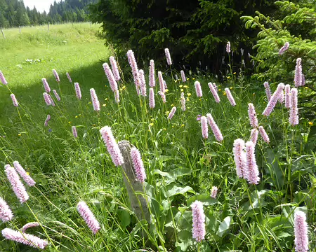 P1040078