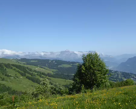 P1040089
