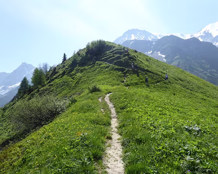 P1040124 crête du Mt Lachat