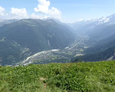 P1040129 vue sur les Houches