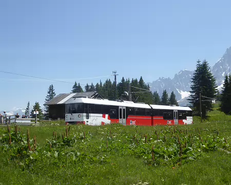 P1040135 Marguerite, tramway du Mont Blanc