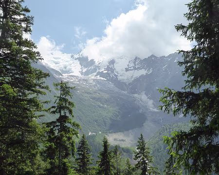 P1040137 dernier coup d'oeil sur le glacier de Bionnassay