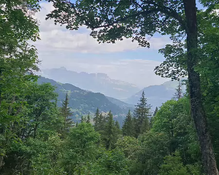 20250615_092751 Vue vers la vallée (St Gervais)