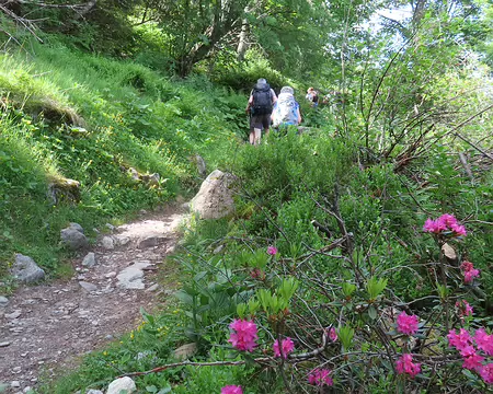 20250616_100624_IMG_7686 Le sentier partait du lieu-dit 