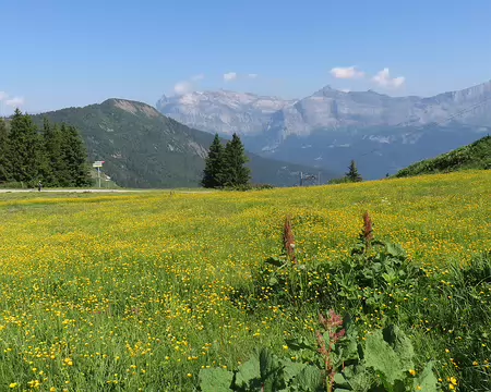 20250619_102107_IMG_7917 Les montages par dessus Saint Gervais