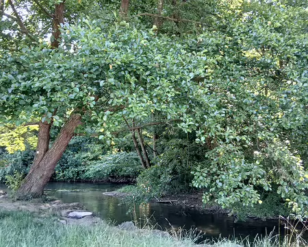 003 L’Yerres est un affluent en rive droite de la Seine (confluent à Villeneuve-Saint-Georges)