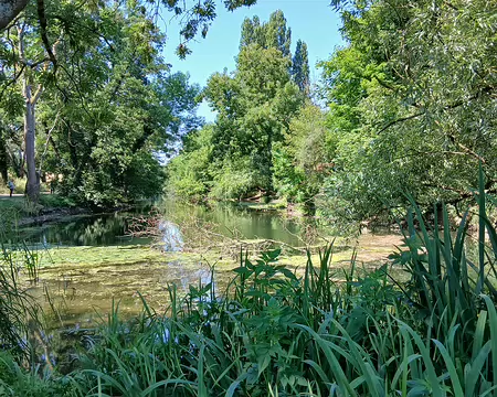 009 L’Yerres a inspiré de nombreux peintres (Caillebotte, Corot, Flandrin, Monet, …)