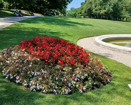 031 Le parc à l’anglaise (11 ha) est bordé par l’Yerres au nord