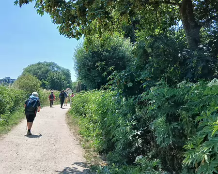 042 En chemin vers Montgeron
