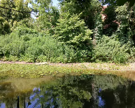 048 Reflets