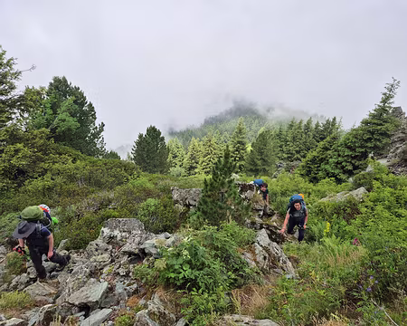 20250704_124337 nous avons quitté le chemin et grimpons vers la crête