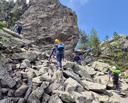 20250704_134019 Digestion dans les cailloux !