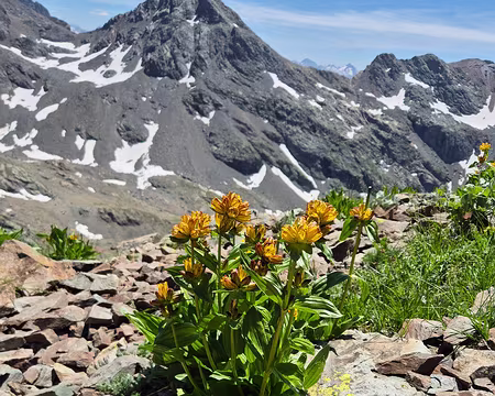 20250705_135241 dans la descente vers le col de Freydane