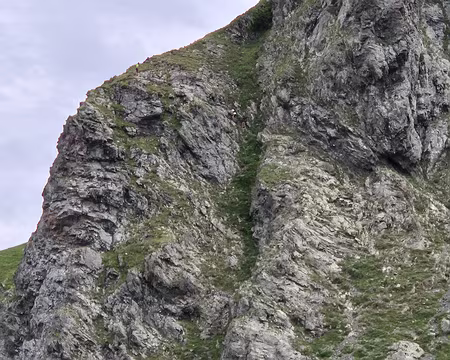 20250706_112046 D'autres personnes font la vire en sens opposé.