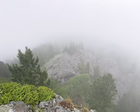 P1180916 Parfois un bon rafraichissement durant la pause déjeuner.